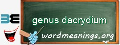 WordMeaning blackboard for genus dacrydium